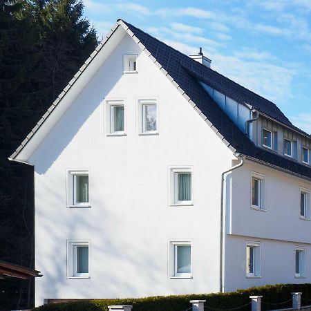 Haus Am Fluss Apartment Байерсброн Екстериор снимка